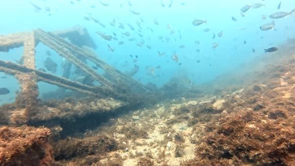 The wreck structure at The Tower dive site, Marbella